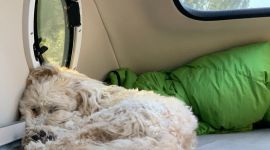 Fotos vom Ford Nugget Panoramafenster im Hochdach mit Belüftung-Luke