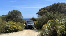 Ford Custom Nugget Aufstelldach im Dickicht