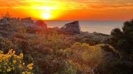 Ford Custom Nugget Aufstelldachdach in Abendstimmung