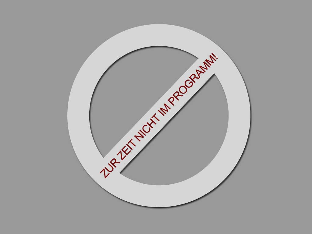 Ford Custom Nugget mit 2 Meter-Absenkung