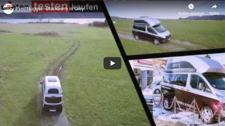 Ford Nugget - Blackberry in Grey