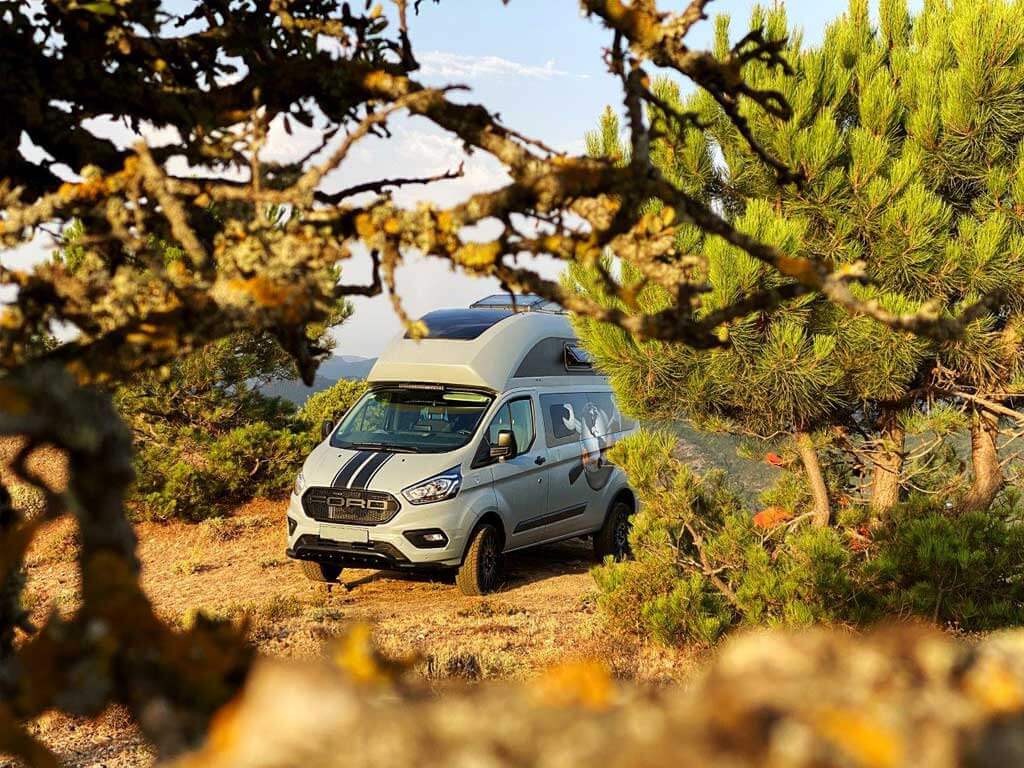 Ford Custom Nugget Plus Hochdach versteckt sich