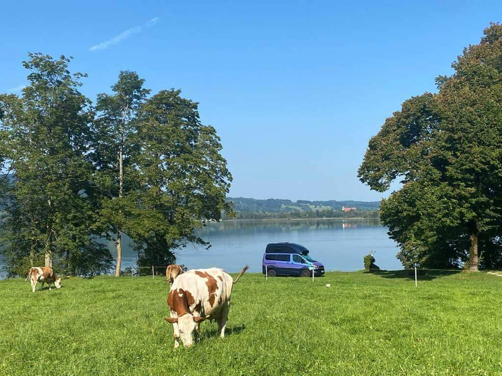 Ford Custom Nugget Hochdach am See